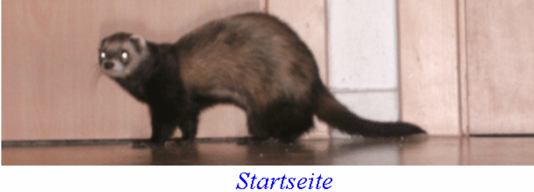 Private Webseite & Privater Spieleserver G.P.